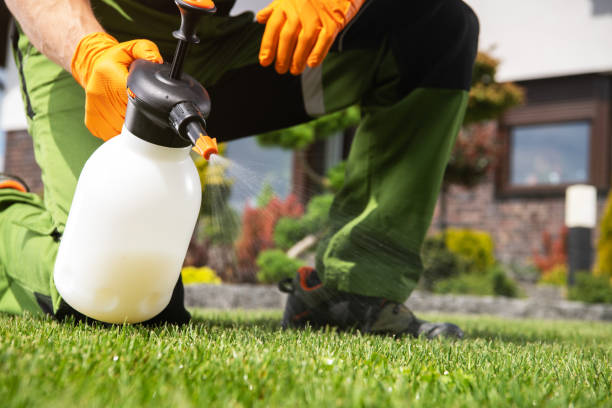 Professional Pest Control in Reisterstown, MD