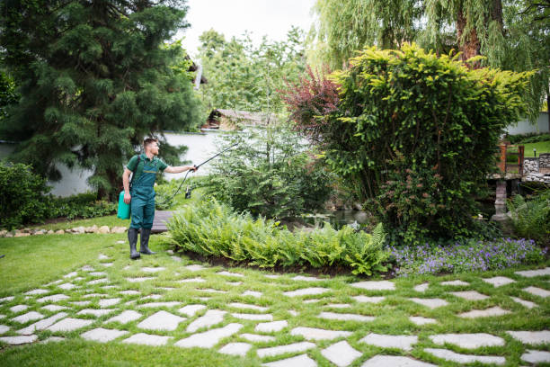 Best Affordable Pest Control Services  in Reisterstown, MD