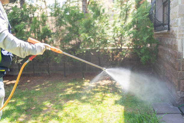 Best Affordable Pest Control Services  in Reisterstown, MD
