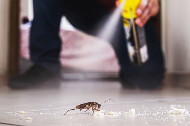 Best Pest Inspection Near Me  in Reisterstown, MD