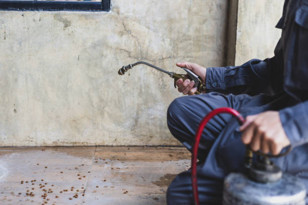 Best Local Pest Control Services  in Reisterstown, MD